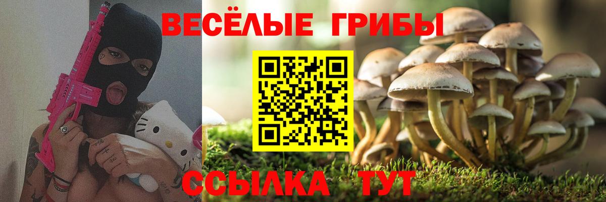 Вязьма  Галлюциногенные грибы ЛСД  Вход с VPN 